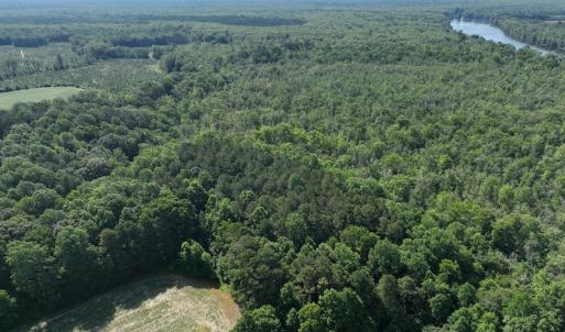 Photo #12 of Off 1307 San Souci Road, Windsor, NC 233.5 acres