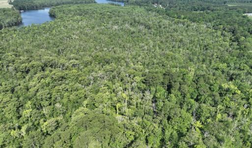 Photo #8 of Off 1307 San Souci Road, Windsor, NC 233.5 acres