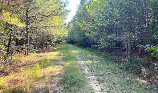 Photo #2 of SOLD property in Off Colonial Trail W, Spring Grove, VA 12.5 acres
