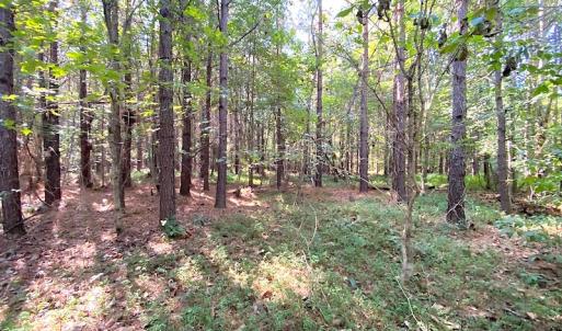 Photo #3 of SOLD property in Off Colonial Trail W, Spring Grove, VA 12.5 acres