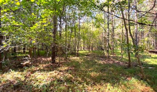 Photo #4 of Off Colonial Trail W, Spring Grove, VA 12.5 acres