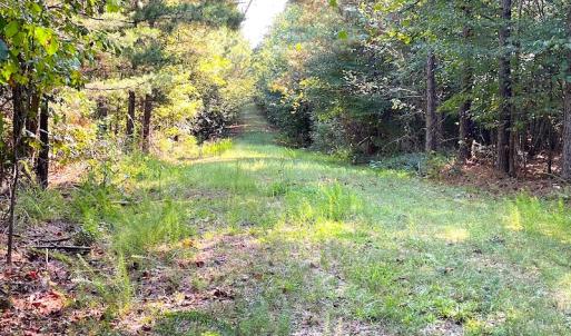 Photo #5 of SOLD property in Off Colonial Trail W, Spring Grove, VA 12.5 acres