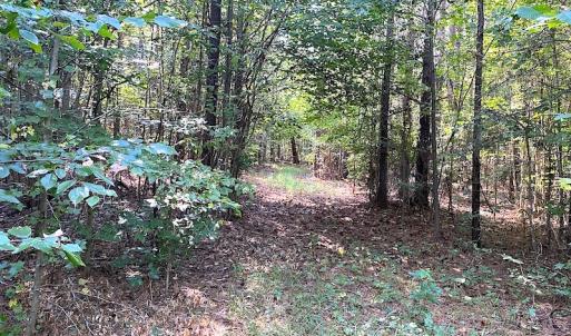 Photo #6 of Off Colonial Trail W, Spring Grove, VA 12.5 acres