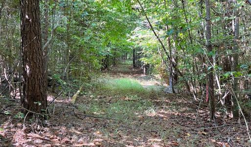 Photo #7 of Off Colonial Trail W, Spring Grove, VA 12.5 acres