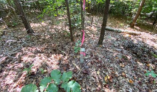 Photo #8 of Off Colonial Trail W, Spring Grove, VA 12.5 acres
