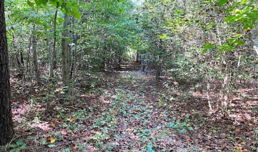 Photo #9 of SOLD property in Off Colonial Trail W, Spring Grove, VA 12.5 acres