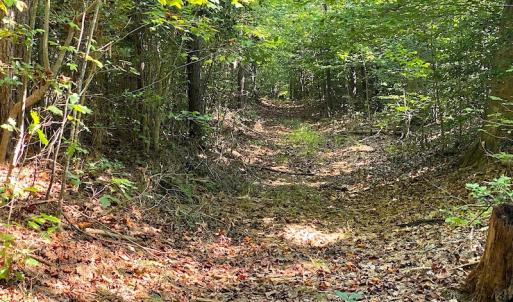 Photo #10 of SOLD property in Off Colonial Trail W, Spring Grove, VA 12.5 acres