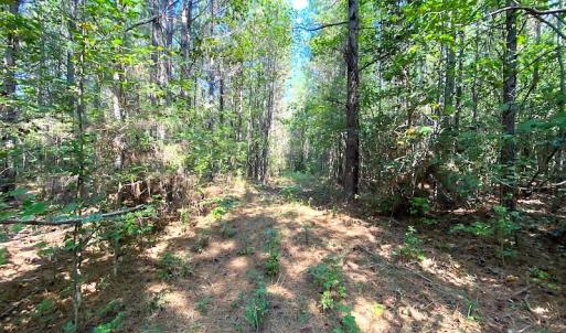 Photo #11 of SOLD property in Off Colonial Trail W, Spring Grove, VA 12.5 acres
