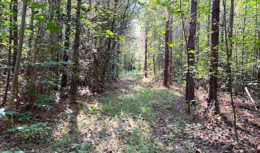 Photo #12 of SOLD property in Off Colonial Trail W, Spring Grove, VA 12.5 acres