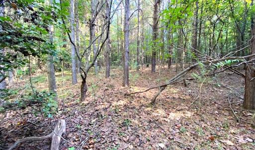 Photo #2 of Off Colonial Trail W, Spring Grove, VA 39.5 acres