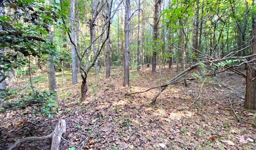 Photo #2 of SOLD property in Off Colonial Trail W, Spring Grove, VA 39.5 acres