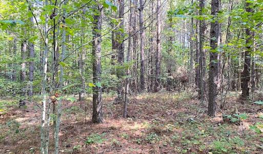 Photo #3 of Off Colonial Trail W, Spring Grove, VA 39.5 acres