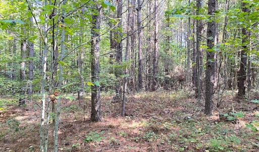 Photo #3 of SOLD property in Off Colonial Trail W, Spring Grove, VA 39.5 acres