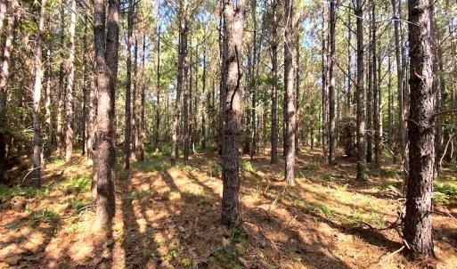 Photo #4 of SOLD property in Off Colonial Trail W, Spring Grove, VA 39.5 acres