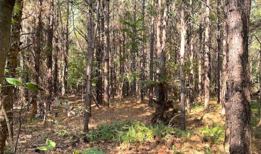 Photo #5 of SOLD property in Off Colonial Trail W, Spring Grove, VA 39.5 acres