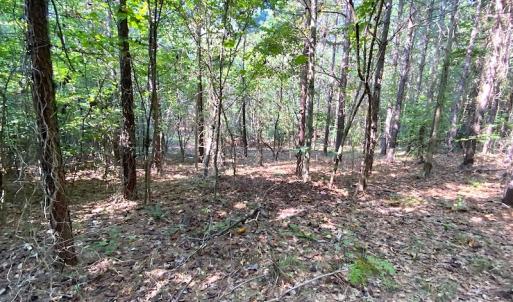 Photo #6 of SOLD property in Off Colonial Trail W, Spring Grove, VA 39.5 acres