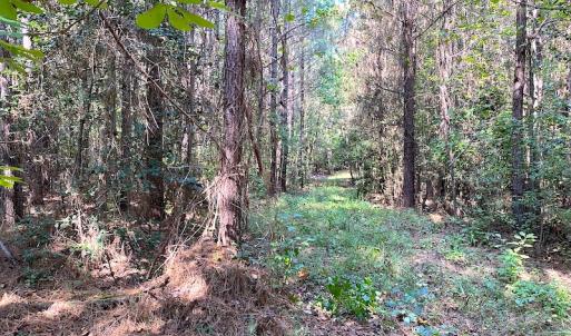 Photo #8 of Off Colonial Trail W, Spring Grove, VA 39.5 acres