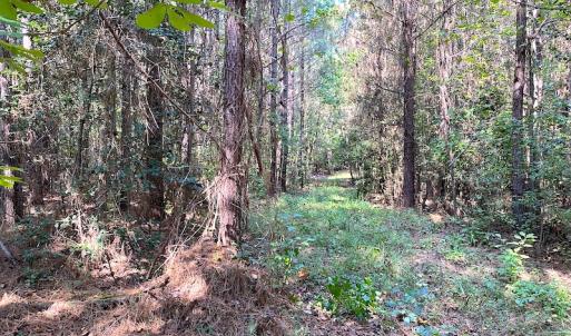 Photo #8 of SOLD property in Off Colonial Trail W, Spring Grove, VA 39.5 acres