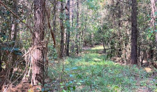 Photo #9 of Off Colonial Trail W, Spring Grove, VA 39.5 acres