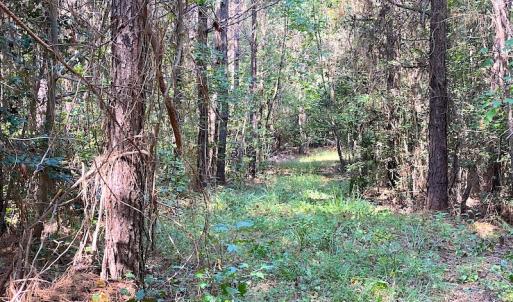 Photo #9 of SOLD property in Off Colonial Trail W, Spring Grove, VA 39.5 acres