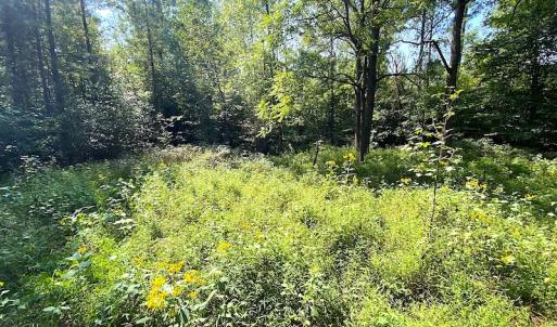 Photo #10 of SOLD property in Off Colonial Trail W, Spring Grove, VA 39.5 acres