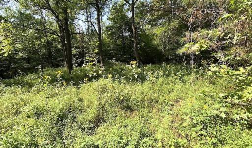 Photo #11 of SOLD property in Off Colonial Trail W, Spring Grove, VA 39.5 acres