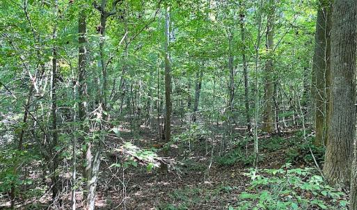 Photo #12 of SOLD property in Off Colonial Trail W, Spring Grove, VA 39.5 acres