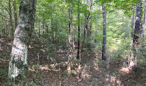 Photo #13 of SOLD property in Off Colonial Trail W, Spring Grove, VA 39.5 acres