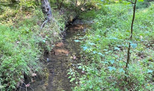 Photo #14 of Off Colonial Trail W, Spring Grove, VA 39.5 acres