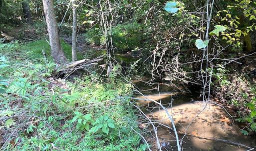 Photo #15 of SOLD property in Off Colonial Trail W, Spring Grove, VA 39.5 acres