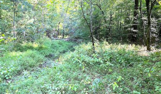 Photo #16 of SOLD property in Off Colonial Trail W, Spring Grove, VA 39.5 acres