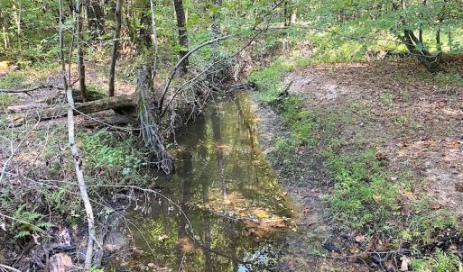 Photo #17 of SOLD property in Off Colonial Trail W, Spring Grove, VA 39.5 acres