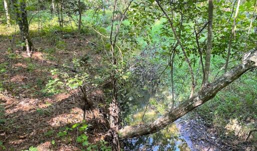 Photo #18 of SOLD property in Off Colonial Trail W, Spring Grove, VA 39.5 acres