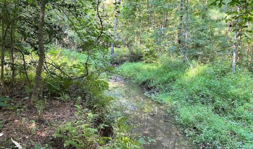 Photo #19 of SOLD property in Off Colonial Trail W, Spring Grove, VA 39.5 acres