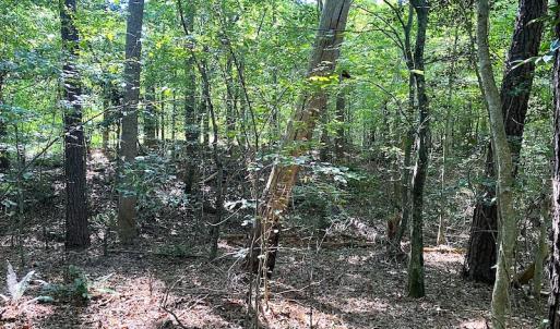 Photo #20 of SOLD property in Off Colonial Trail W, Spring Grove, VA 39.5 acres
