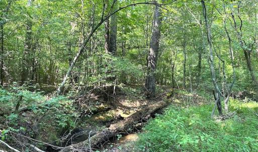 Photo #21 of SOLD property in Off Colonial Trail W, Spring Grove, VA 39.5 acres