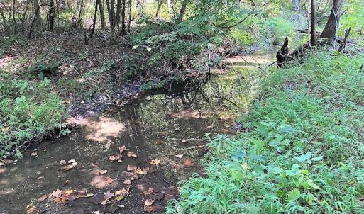Photo #22 of SOLD property in Off Colonial Trail W, Spring Grove, VA 39.5 acres