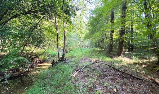Photo #23 of Off Colonial Trail W, Spring Grove, VA 39.5 acres