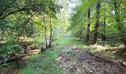 Photo #23 of SOLD property in Off Colonial Trail W, Spring Grove, VA 39.5 acres