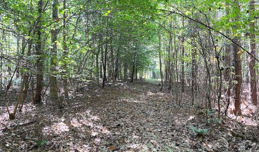 Photo #24 of Off Colonial Trail W, Spring Grove, VA 39.5 acres