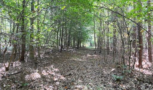 Photo #24 of SOLD property in Off Colonial Trail W, Spring Grove, VA 39.5 acres
