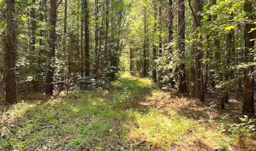 Photo #25 of SOLD property in Off Colonial Trail W, Spring Grove, VA 39.5 acres