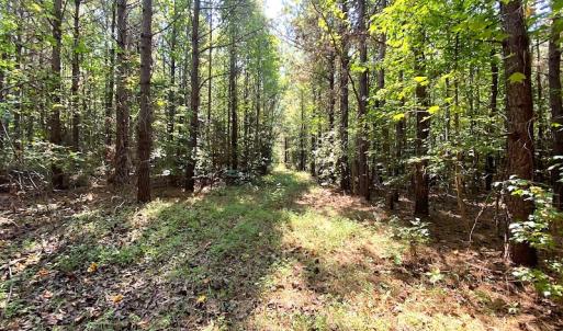 Photo #26 of Off Colonial Trail W, Spring Grove, VA 39.5 acres