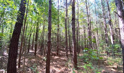 Photo #27 of SOLD property in Off Colonial Trail W, Spring Grove, VA 39.5 acres