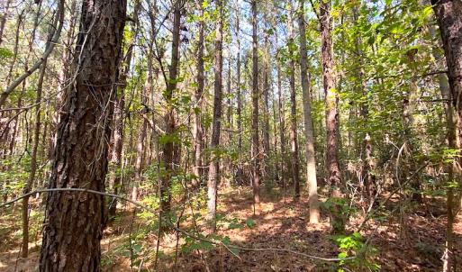 Photo #28 of SOLD property in Off Colonial Trail W, Spring Grove, VA 39.5 acres