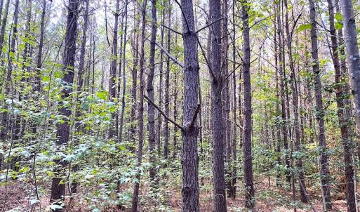 Photo #29 of SOLD property in Off Colonial Trail W, Spring Grove, VA 39.5 acres