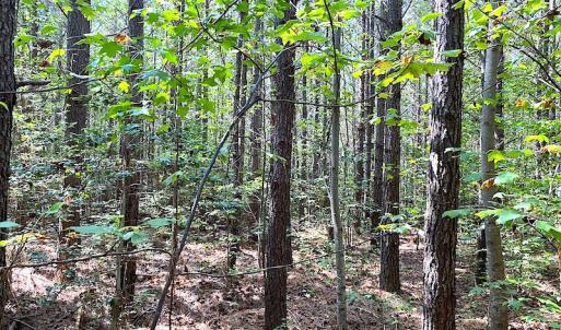 Photo #32 of SOLD property in Off Colonial Trail W, Spring Grove, VA 39.5 acres