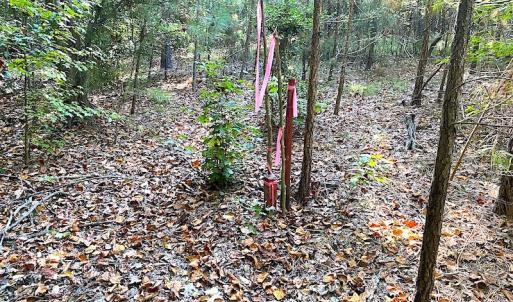 Photo #33 of SOLD property in Off Colonial Trail W, Spring Grove, VA 39.5 acres