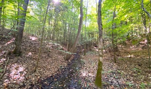 Photo #34 of SOLD property in Off Colonial Trail W, Spring Grove, VA 39.5 acres