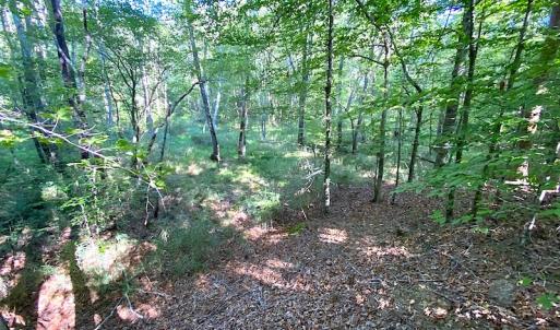 Photo #35 of SOLD property in Off Colonial Trail W, Spring Grove, VA 39.5 acres